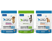 All three adult face on.png