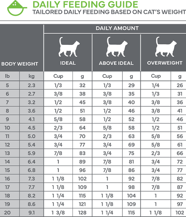 Adult Feeding Guide 600x700.png