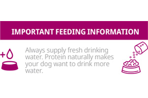 (jpg) LM Breed Water Intake.jpg