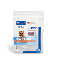 Neutered adult small dog top