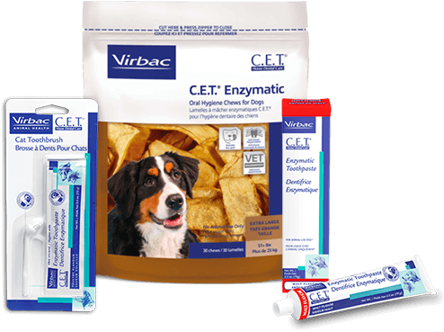 Virbac veggiedent 2025 extra small