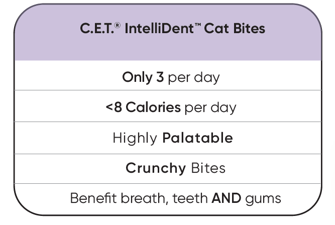chart intellident.PNG