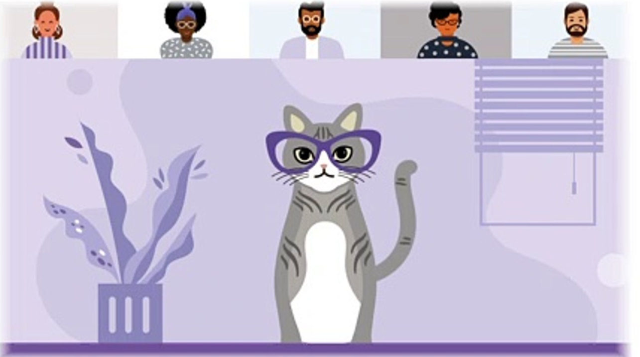Cet dental deals chews for cats