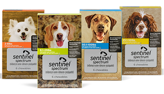 Sentinel top spectrum virbac