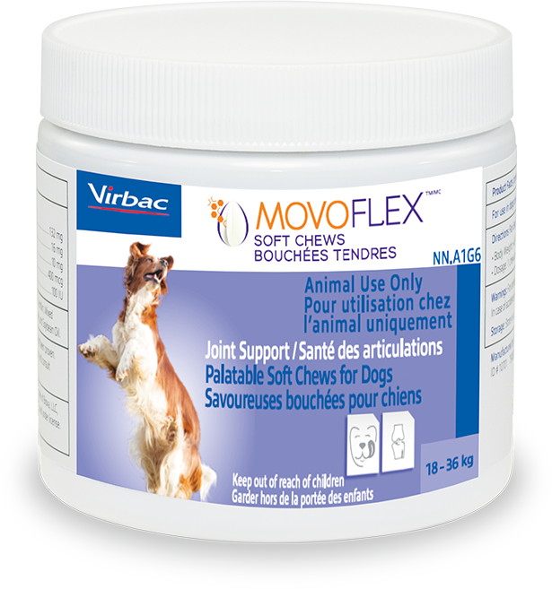 Movoflex Joint Support Soft Chews